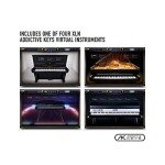 Focusrite Scarlett 2i2 USB Audio Interface Bundle