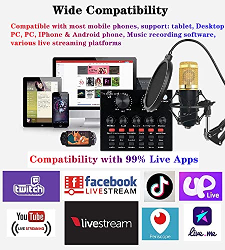 BM-800 Podcast Equipment Bundle with Voice Changer