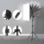 ShowMaven Softbox Lighting Kit with Backdrop