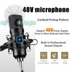 48V Condenser Microphone Bundle for Podcasting