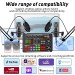 BM800 Podcast Microphone Bundle for Creators