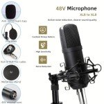 K800 Podcast Bundle: Mic, Interface, Voice Changer