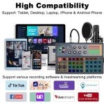 K800 Podcast Bundle: Mic, Interface, Voice Changer