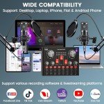 Podcast Bundle: Audio Interface & Condenser Mic