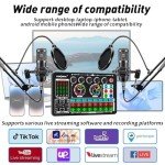 F999 Podcast Equipment Set with BM800 Microphone