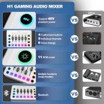 Hayner-Seek USB Microphone Set for Podcasting