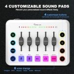 Hayner-Seek USB Microphone Set for Podcasting