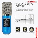 XLR Condenser Microphone Kit for Streaming & Recording