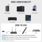 Phenyx Pro Dual Wireless Microphone System