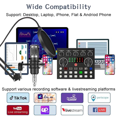 Podcast Bundle: Audio Interface & Cardioid Mic