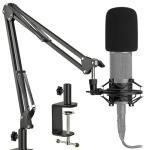 Professional Mic Stand with Shock Mount and Pop Filter