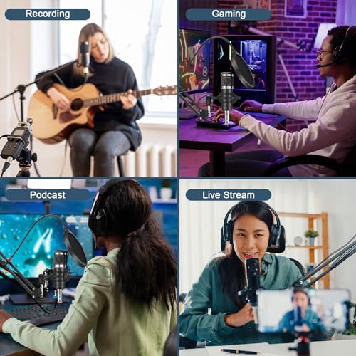 Podcast Bundle: Audio Interface & Cardioid Mic