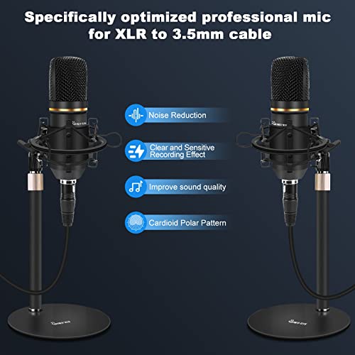 Podcast Equipment Bundle: Mixer, Mic & Interface