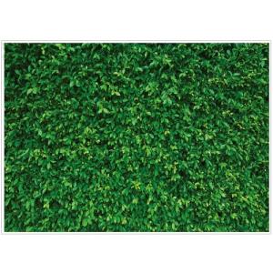 Green Leaves Photography Backdrop for Parties
