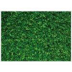 Green Leaves Photography Backdrop for Parties