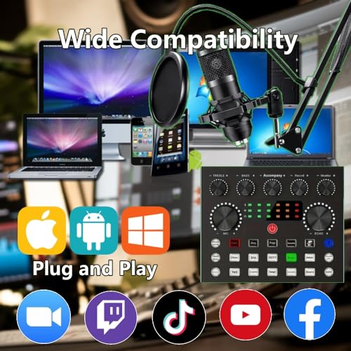 Podcast Equipment Bundle for 2: Mixer & Microphone