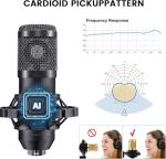 Podcast Equipment Bundle: BM800 Mic & DJ Mixer