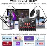 Podcast Equipment Bundle: BM800 Mic & DJ Mixer