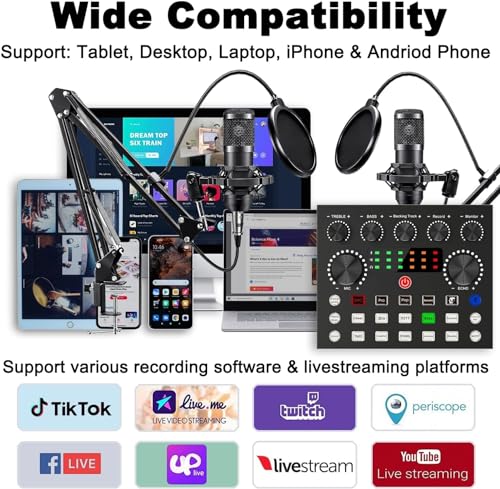 Podcast Equipment Bundle: V8s Mixer & BM-800 Microphone
