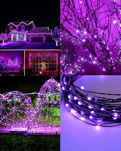 Purple Solar String Lights for Halloween & Parties