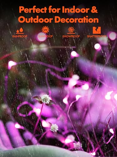 Purple Solar String Lights for Halloween & Parties