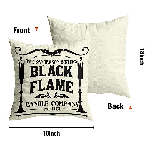 Set of 4 Halloween Pillow Covers - Hocus Pocus