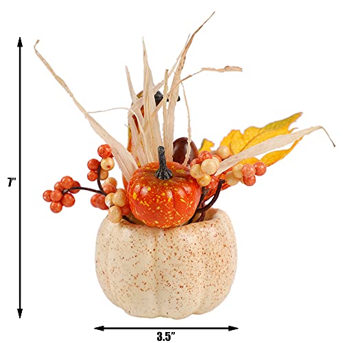Thanksgiving Harvest Decor Set with Pumpkins and Berries