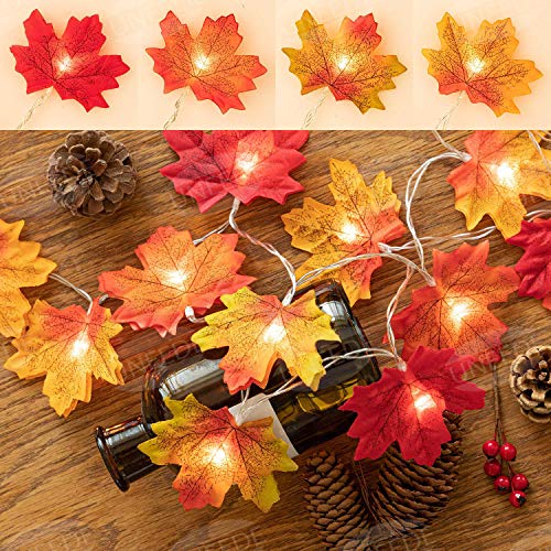 Waterproof Maple Leaves String Lights for Fall Decor