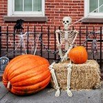 36" Realistic Movable Skeleton Halloween Decoration