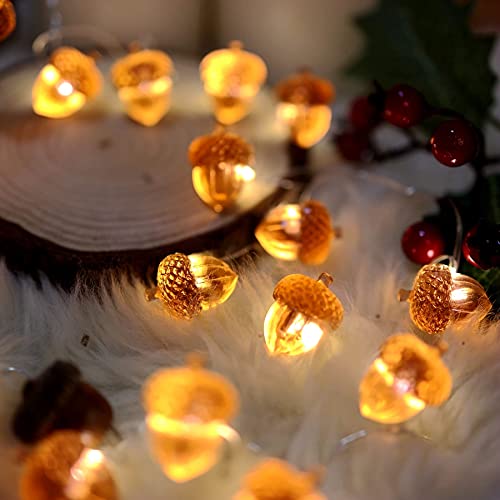 Autumn Acorn Fairy String Lights - 30 LEDs