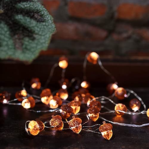Autumn Acorn Fairy String Lights - 30 LEDs