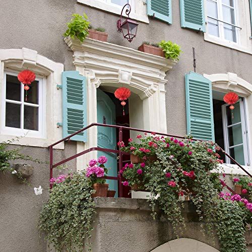 20-Pack 10-Inch Chinese Red Paper Lanterns