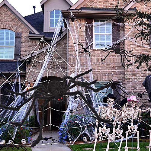 Giant Spider Web and Spider Halloween Decor