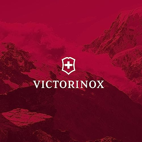 Victorinox Maverick Gold & Rose Watch