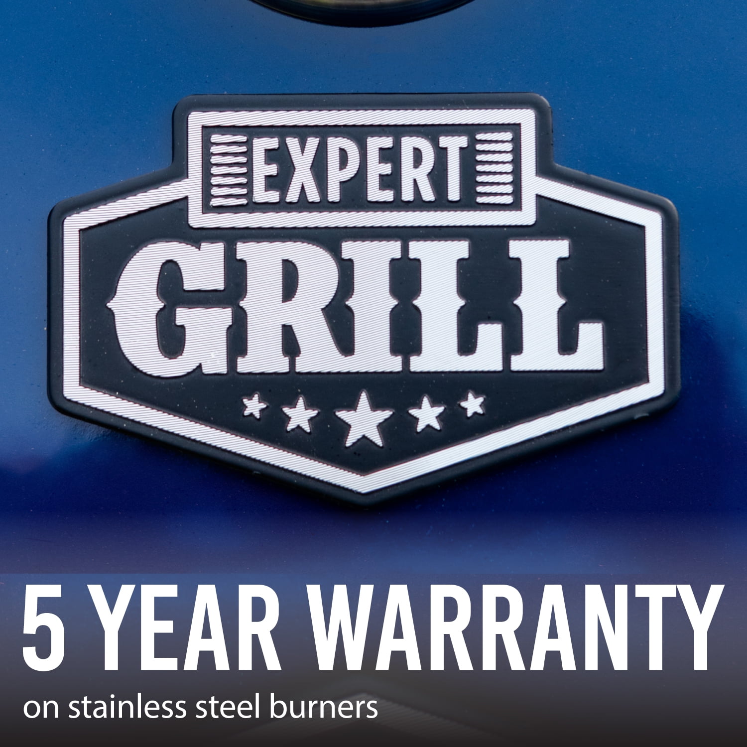 6 Burner Propane Gas Grill, Blue