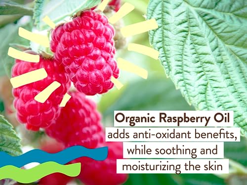 Babo Botanicals Daily Sheer SPF40 Mineral Sunscreen