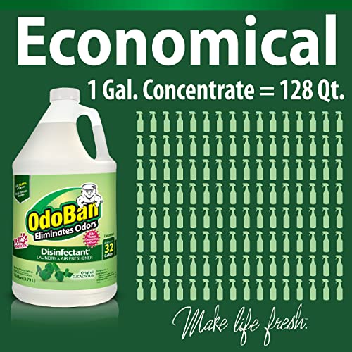 Eucalyptus Scent Disinfectant Concentrate, 1 Gallon