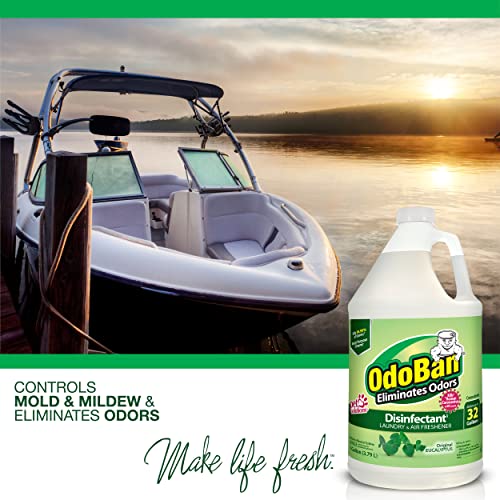 Eucalyptus Scent Disinfectant Concentrate, 1 Gallon