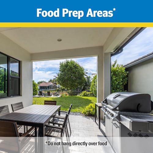 Raid® Fly Ribbon, Fly Traps for Indoors and Outdoors, 4 Pack