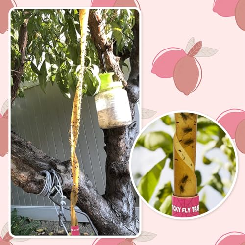 40 Packs Fly Trap Indoor, Hanging Fly Traps Outdoor for Gnat Fungus Mosquito, Sticky Fly Ribbon, Fly Tape Catcher Paper with Pin for Home