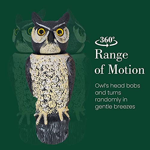 Dalen Rotating Head Fake Owl Decoy to Scare Birds Away from Gardens, Rooftops, and Patios - Scarecrow Provides Chemical-Free Pest Control - Safe and Humane, 18" 360º Rotating Head
