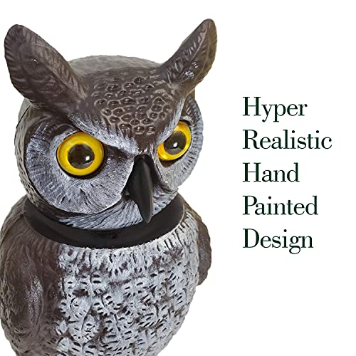 Dalen Rotating Head Fake Owl Decoy to Scare Birds Away from Gardens, Rooftops, and Patios - Scarecrow Provides Chemical-Free Pest Control - Safe and Humane, 18" 360º Rotating Head