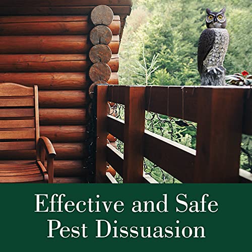 Dalen Rotating Head Fake Owl Decoy to Scare Birds Away from Gardens, Rooftops, and Patios - Scarecrow Provides Chemical-Free Pest Control - Safe and Humane, 18" 360º Rotating Head