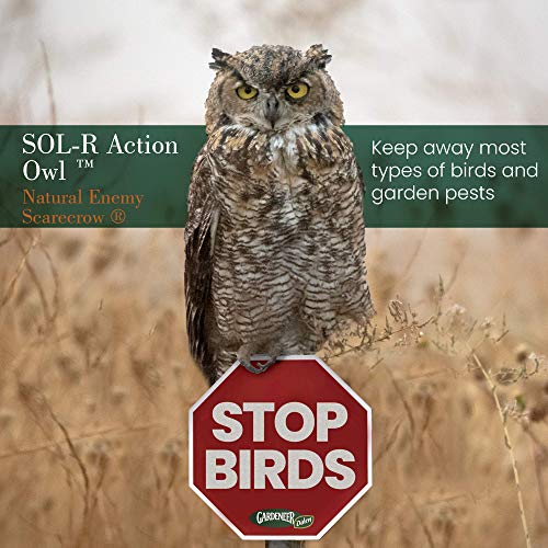 Dalen Rotating Head Fake Owl Decoy to Scare Birds Away from Gardens, Rooftops, and Patios - Scarecrow Provides Chemical-Free Pest Control - Safe and Humane, 18" 360º Rotating Head