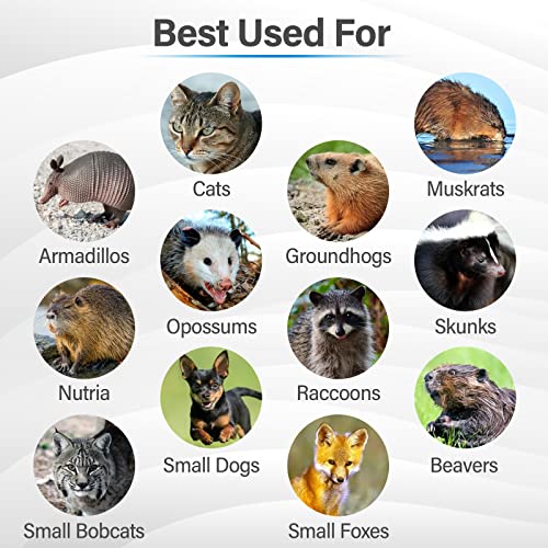 Humane Way Folding 32 Inch Live Humane Animal Trap - Safe Traps for All Animals - Raccoons, Cats, Groundhogs, Opossums - 32"x10"x12",Black