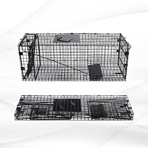 Humane Way Folding 32 Inch Live Humane Animal Trap - Safe Traps for All Animals - Raccoons, Cats, Groundhogs, Opossums - 32"x10"x12",Black