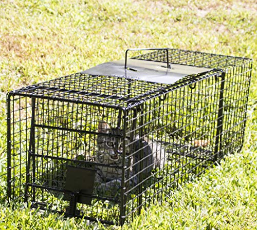 Humane Way Folding 32 Inch Live Humane Animal Trap - Safe Traps for All Animals - Raccoons, Cats, Groundhogs, Opossums - 32"x10"x12",Black