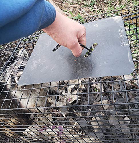 Humane Way Folding 32 Inch Live Humane Animal Trap - Safe Traps for All Animals - Raccoons, Cats, Groundhogs, Opossums - 32"x10"x12",Black