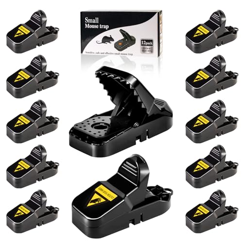 Mouse Traps