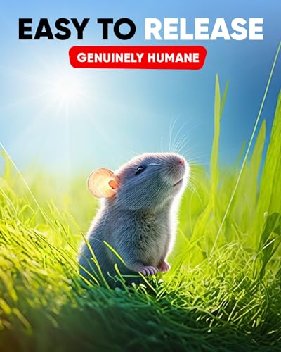 Motel Mouse Humane No Kill Live Catch and Release Mouse Traps, Reusable with Cleaning Brush - 4 Pack